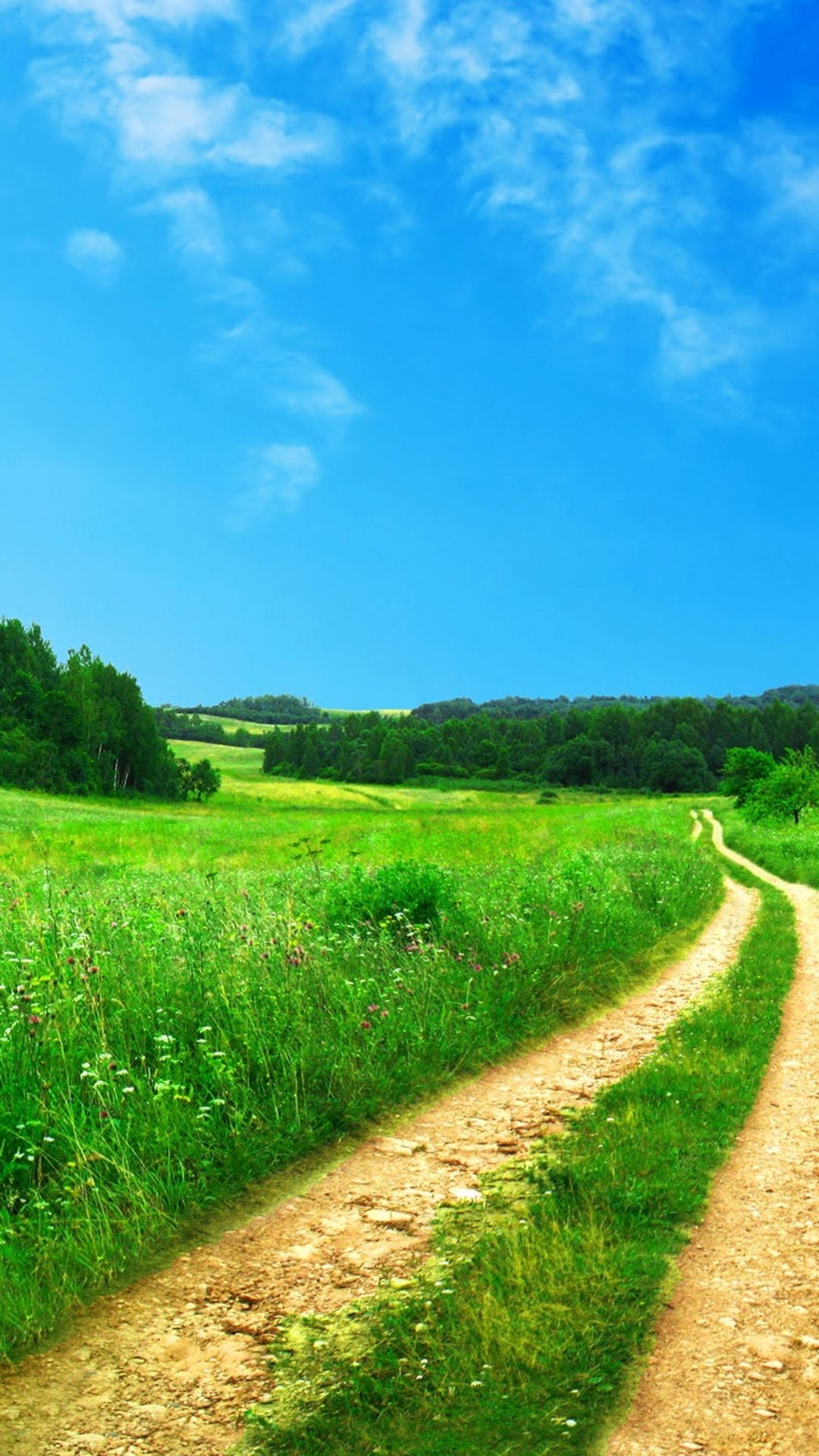 Лето насекомые