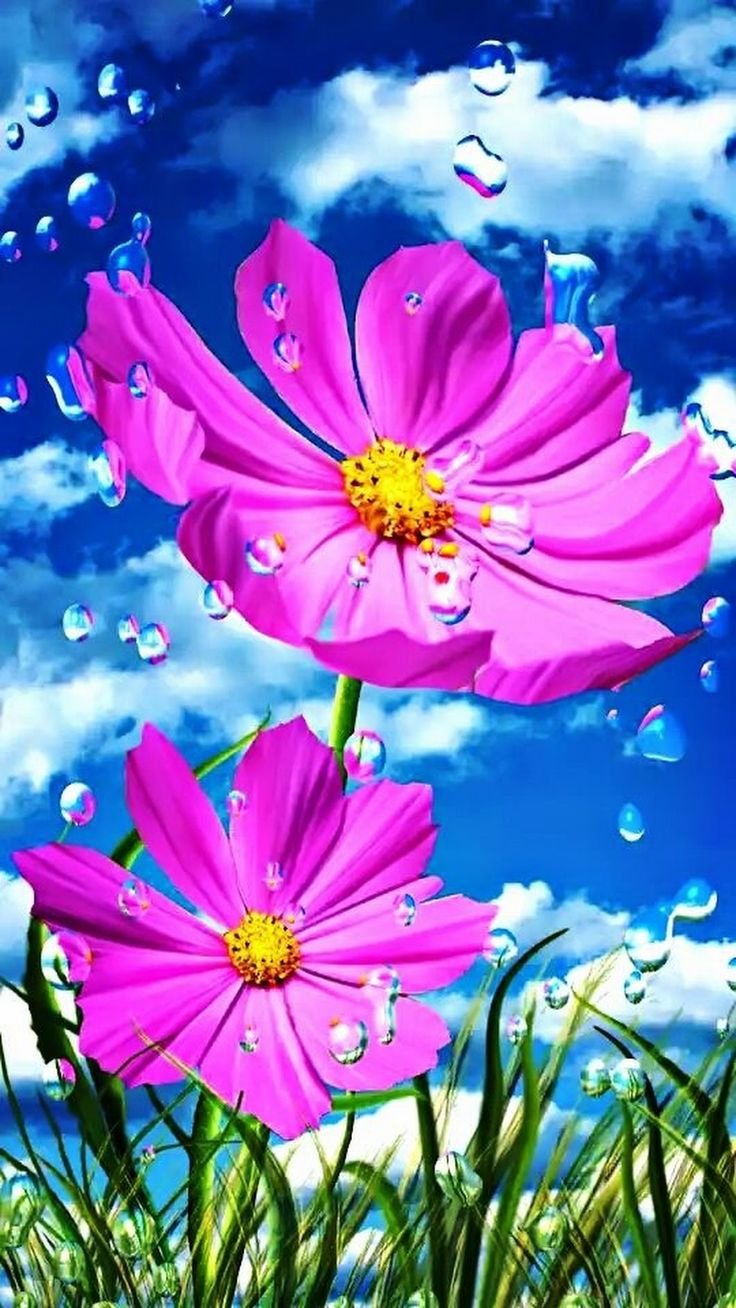 Природа цветы