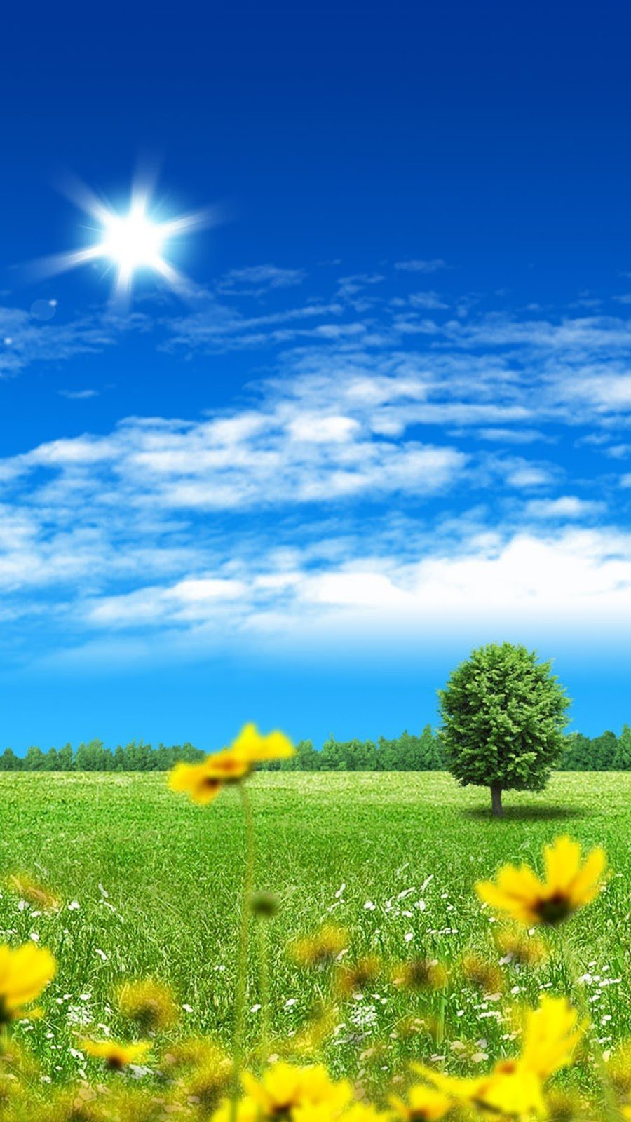 Лето пальмы