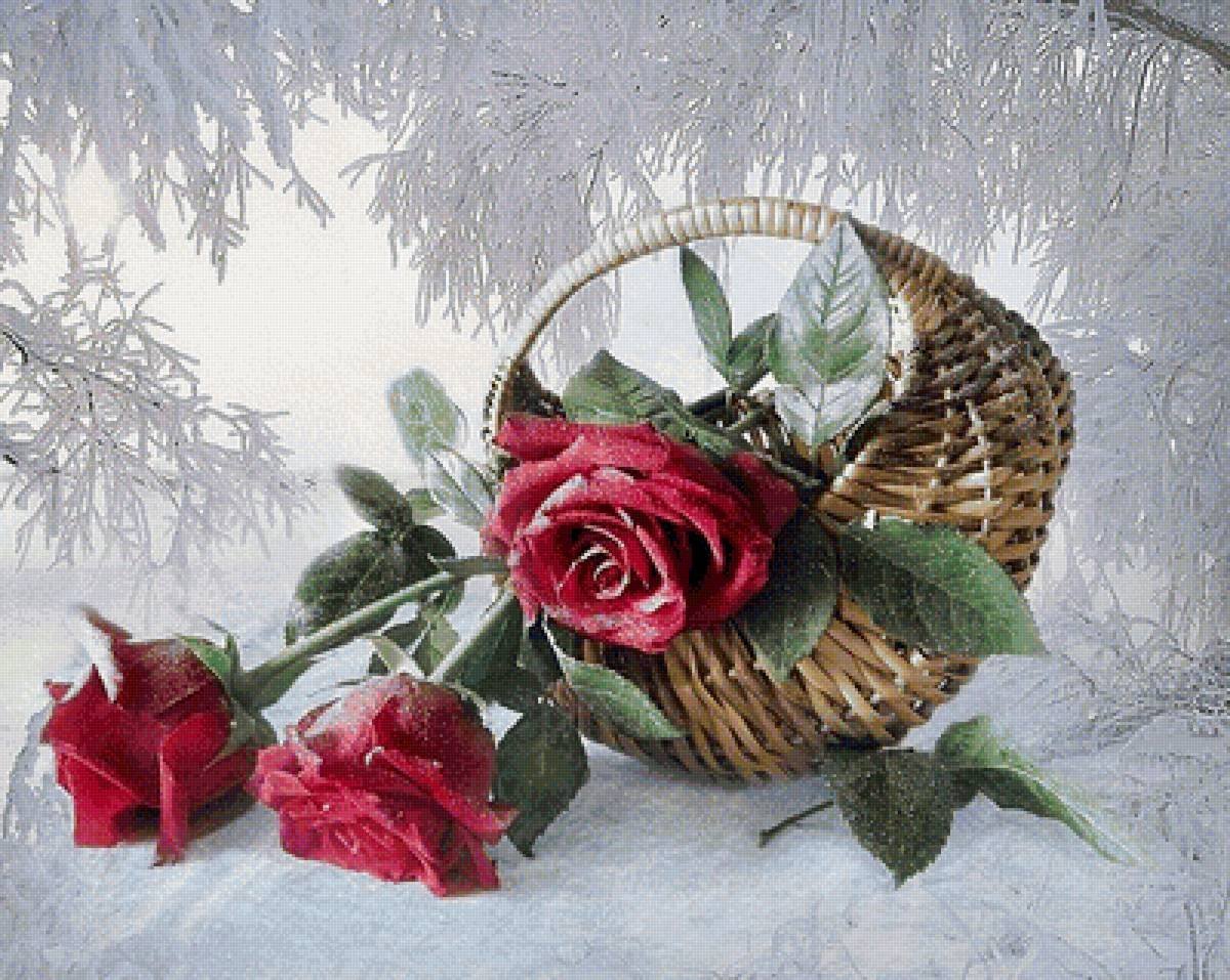 Корзина с цветами на снегу