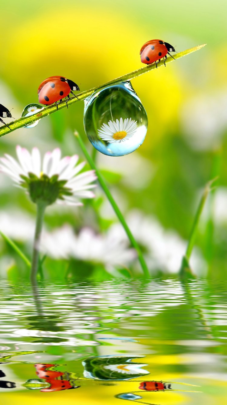 Фотообои природа