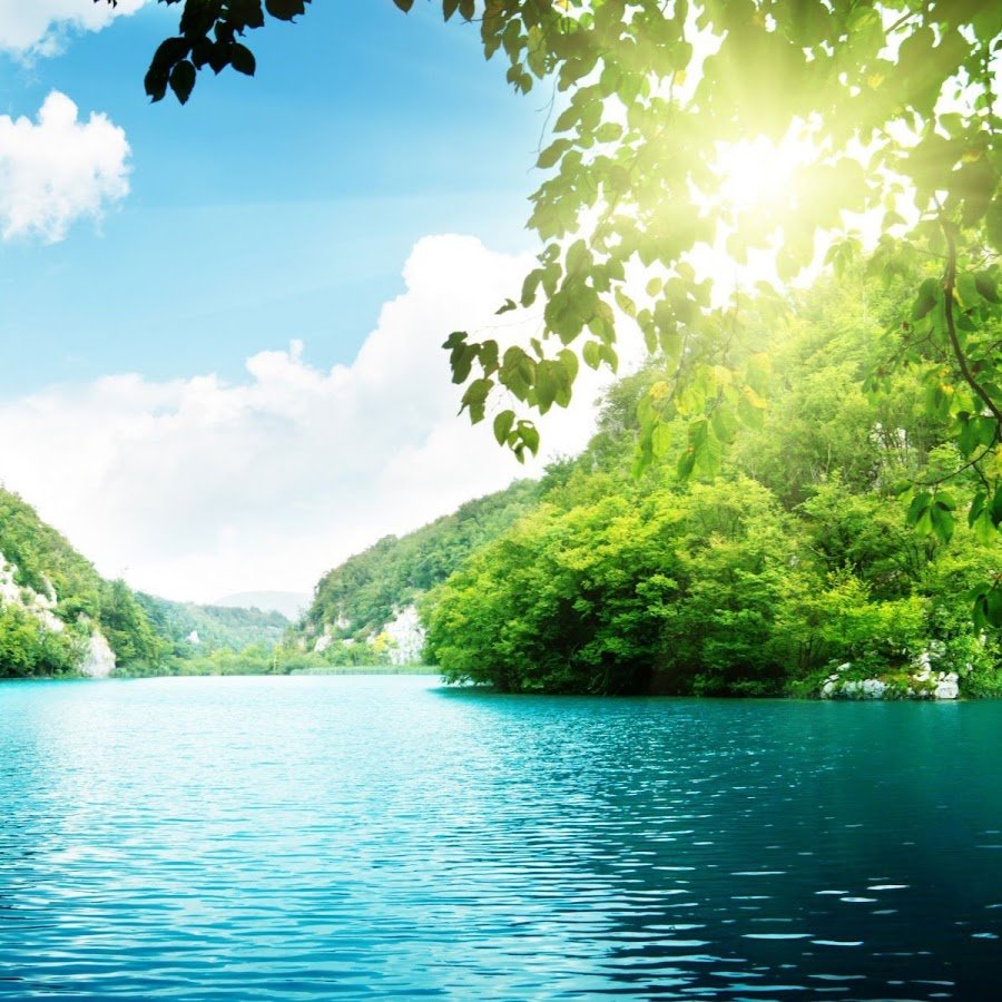 Оранжевый с белым в природе