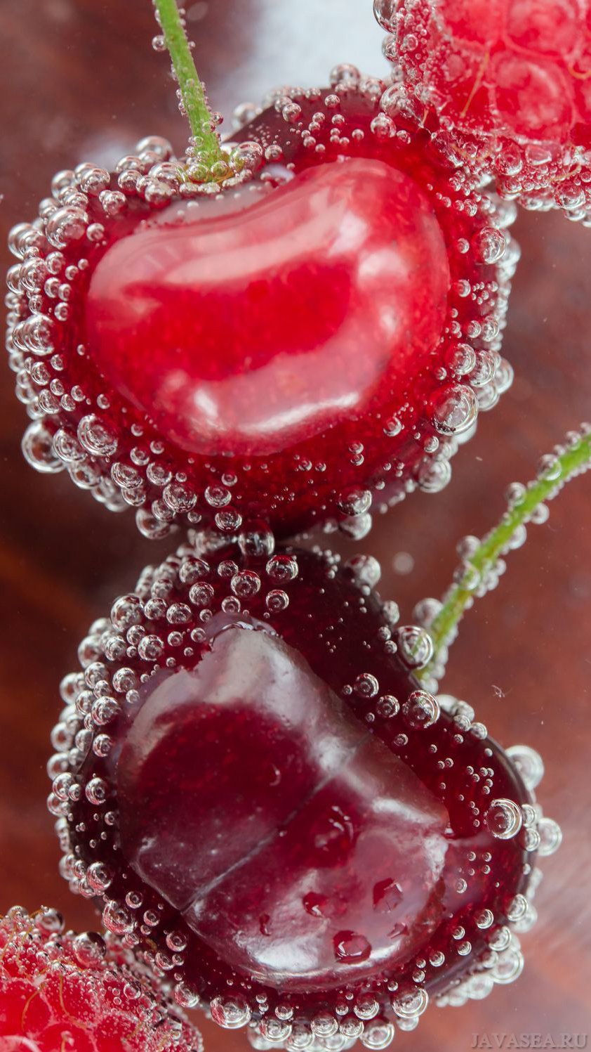 Ягоды во льду