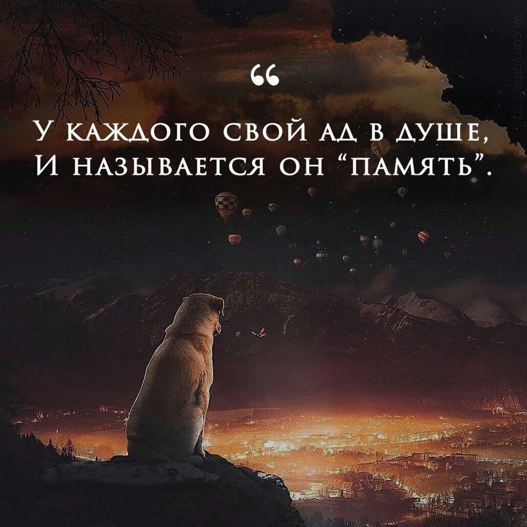 Красивые умные цитаты