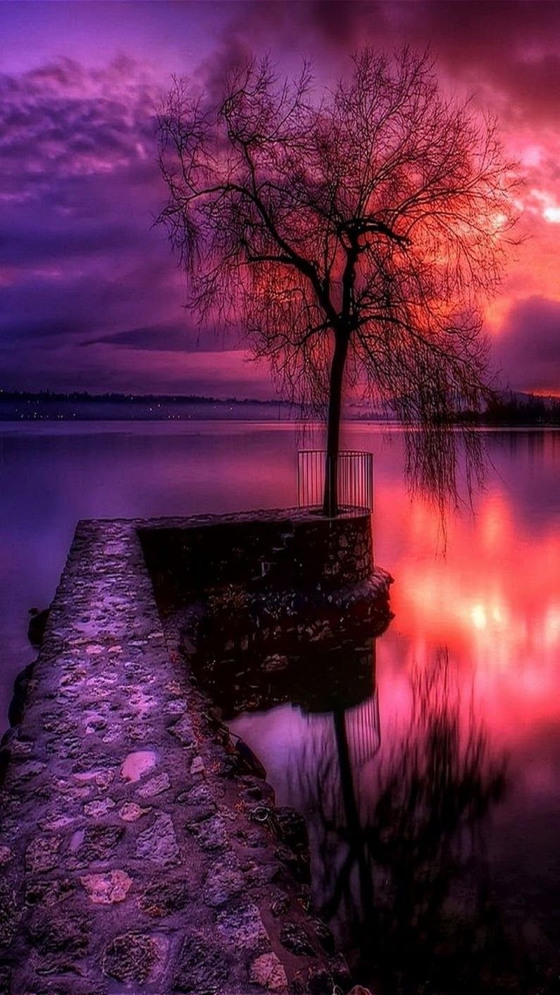 Пейзаж вертикально