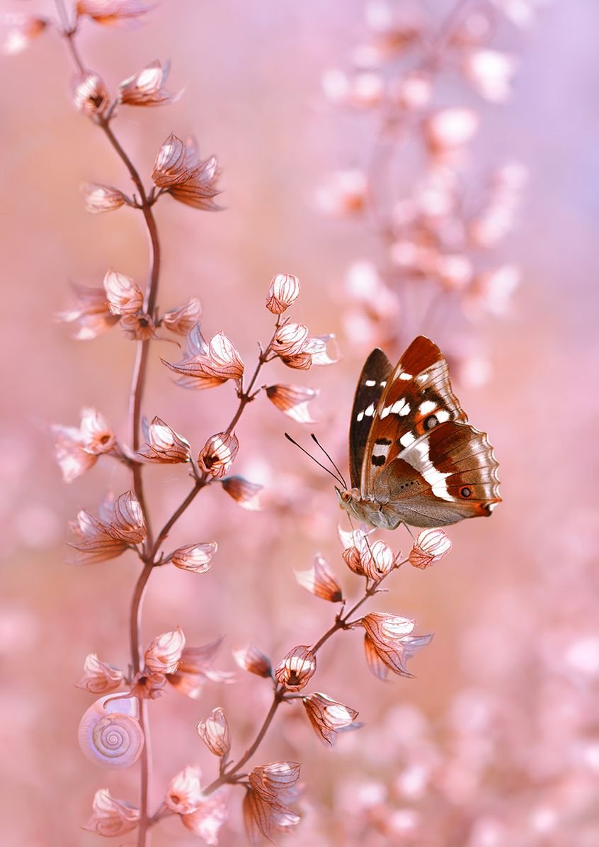 Необычная природа