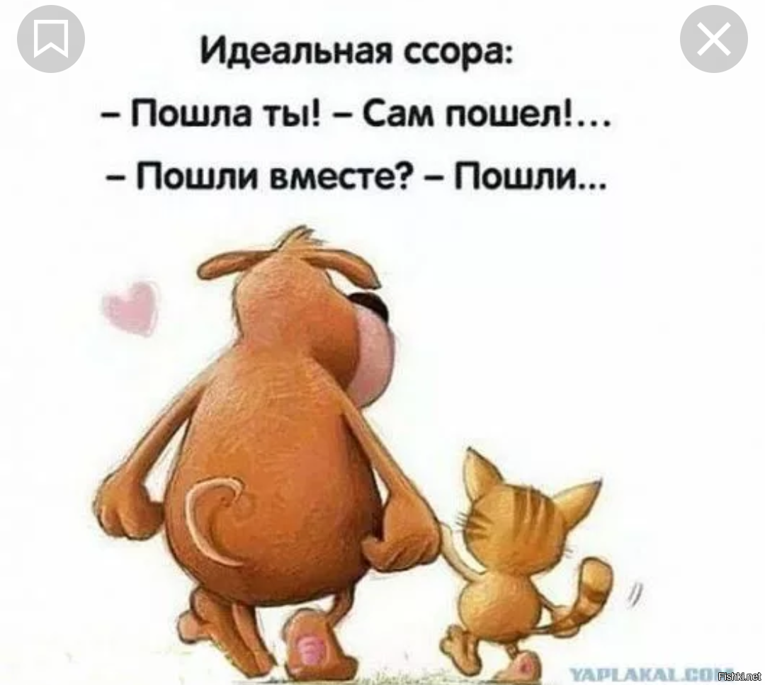 Настроение цитаты прикольные