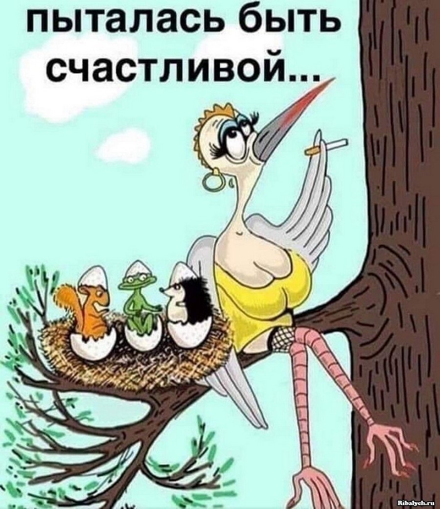 Доброе Воскресное утро прикольные