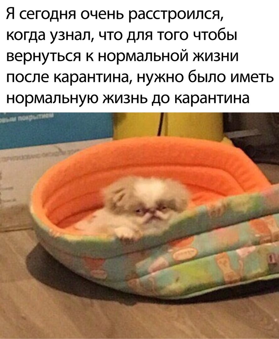 Цитаты поднимающие настроение