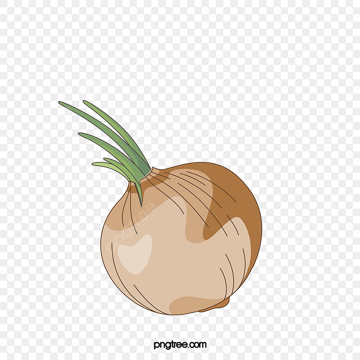 Лук в разрезе стилизация