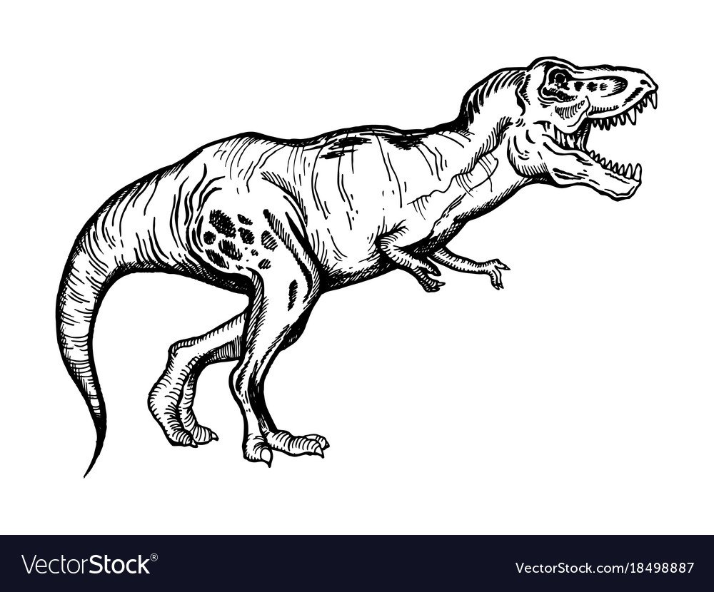 Тираннозавр контур