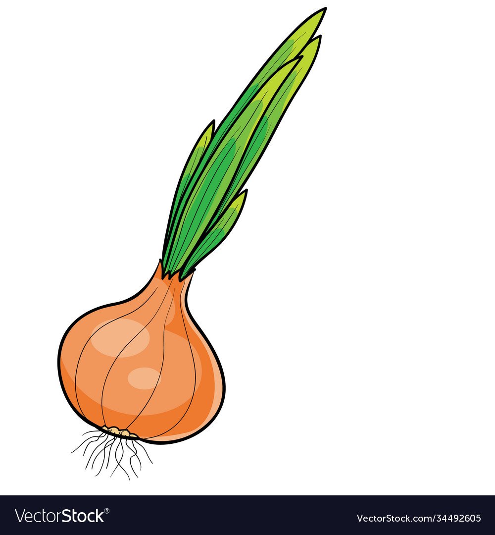 Лук в иллюстраторе