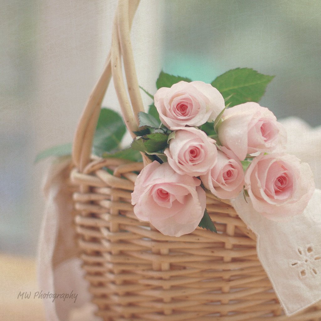 Цветы поздравления