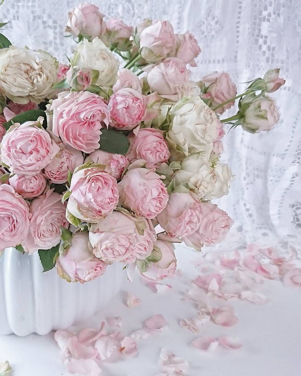 С днем рождения нежные цветы