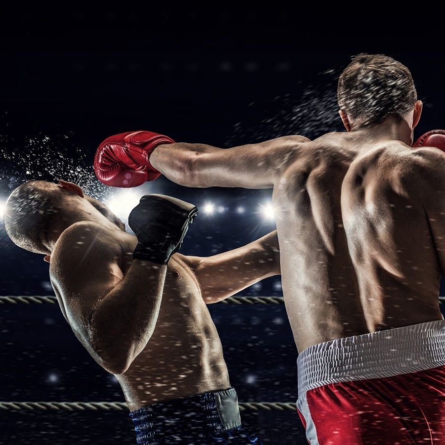 Обои для боксера