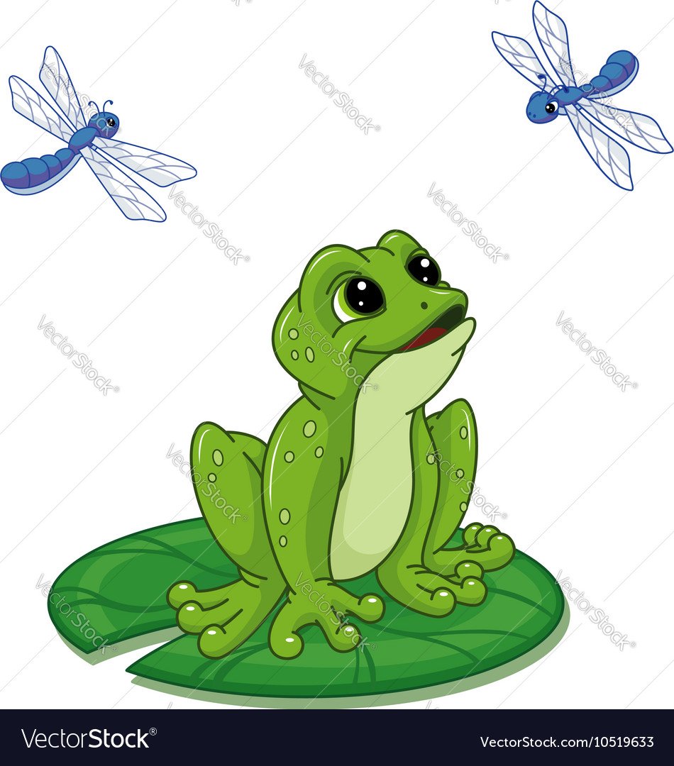 Лягушка на кувшинке мультяшная