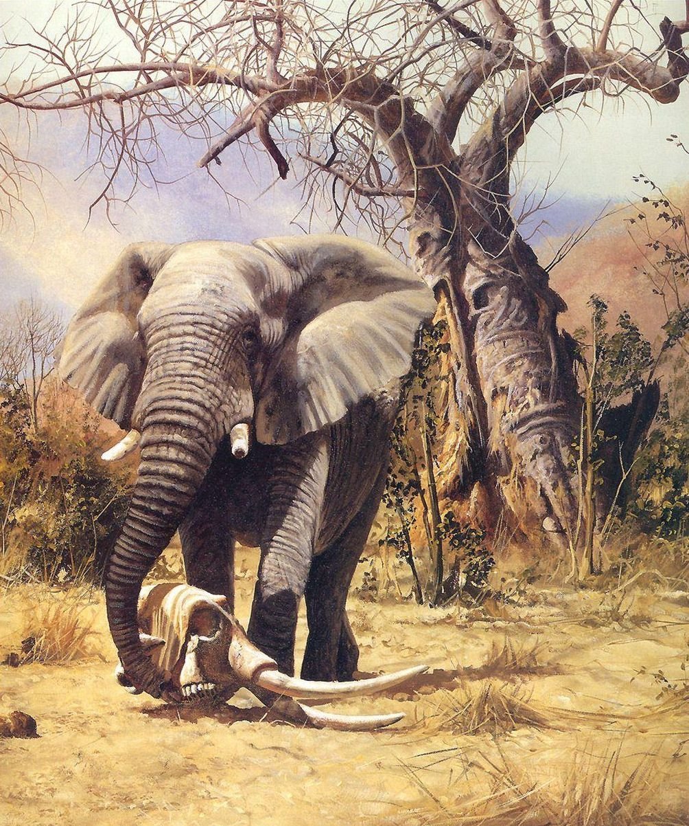 Слоны живопись