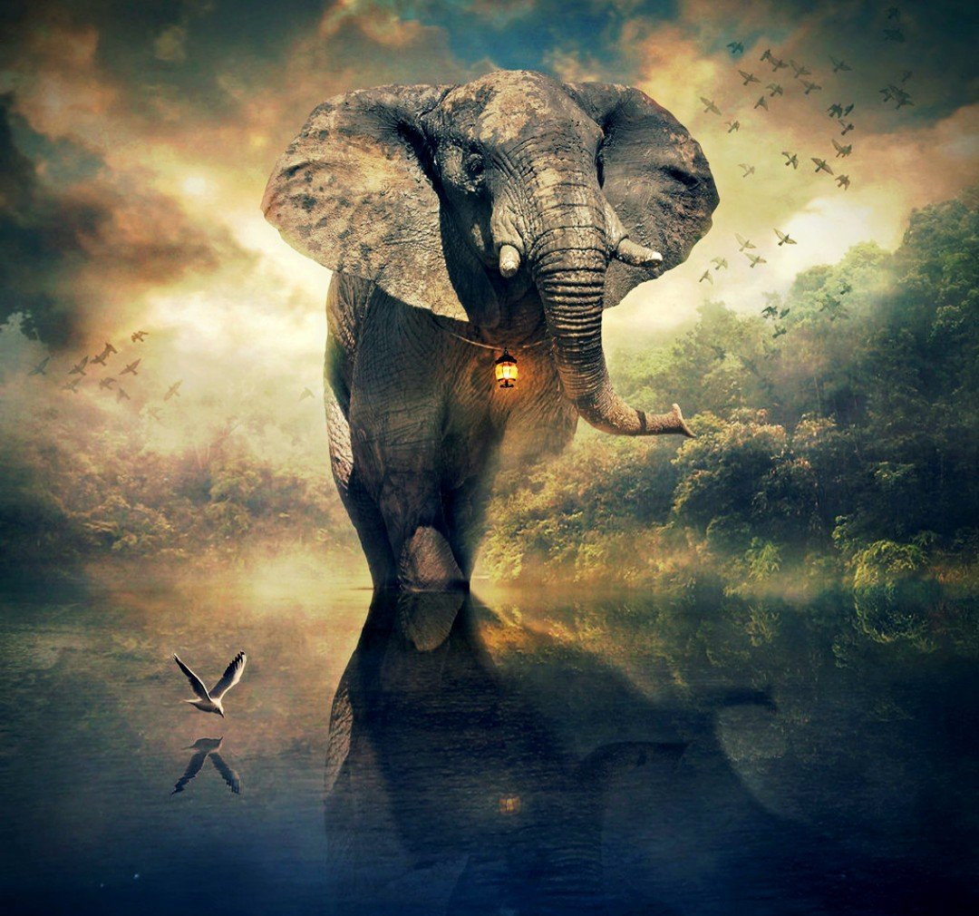 Слон арт