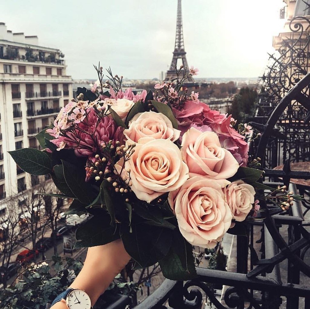 Значок ватсап