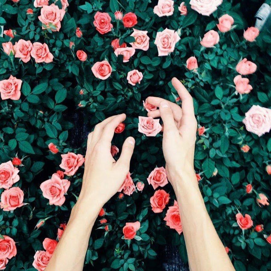 Картинки на аватарку в ватсап