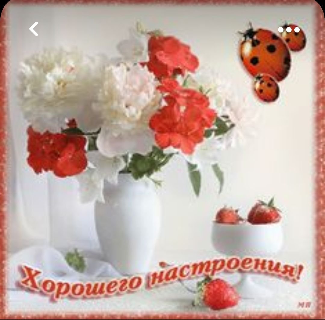 Открытки прекрасного дня и отличного настроения