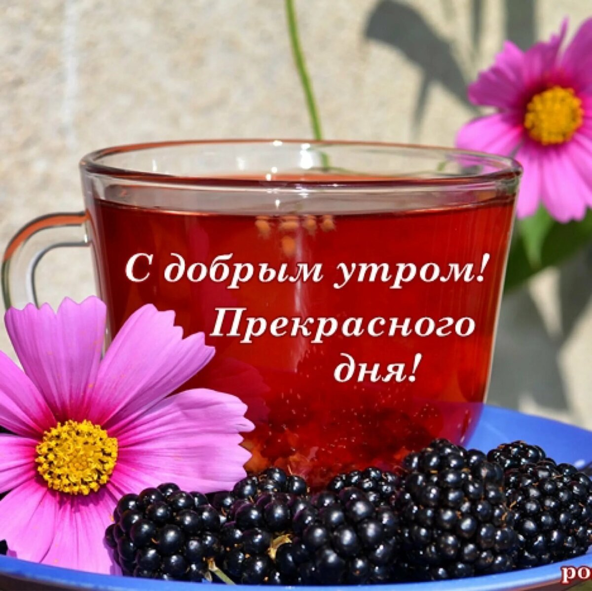 Солнечного дня и отличного настроени