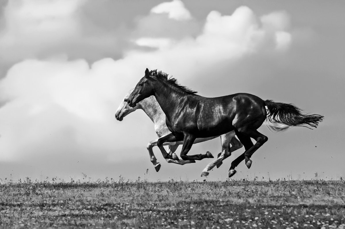 Бегущий человек арт