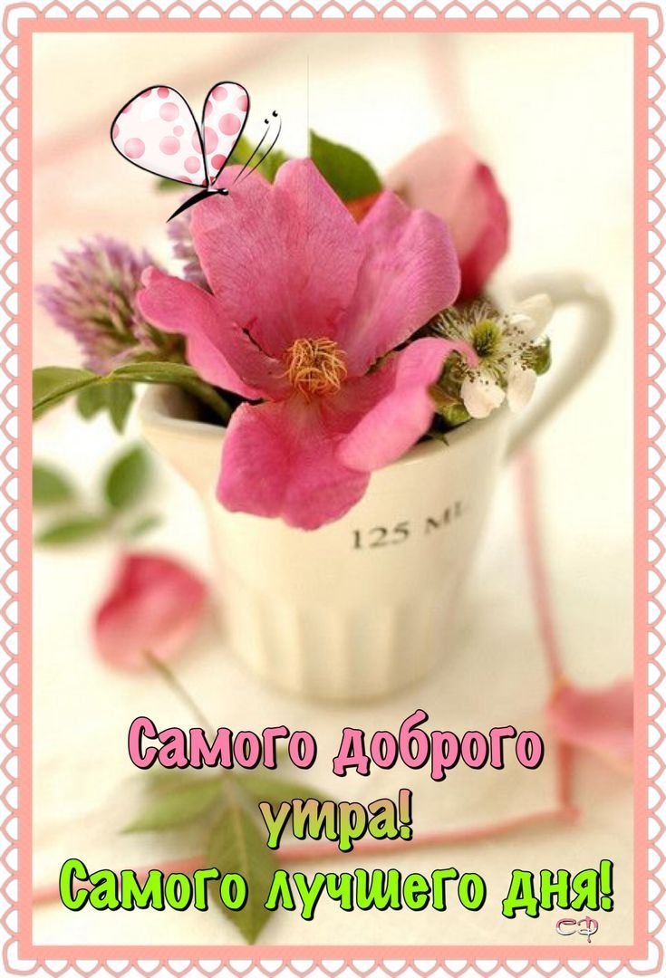 Добрые нежные пожелания