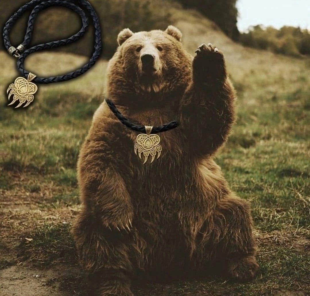 Медведь Гризли улыбается