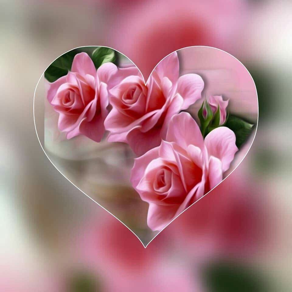 Доброе утро цветы сердце