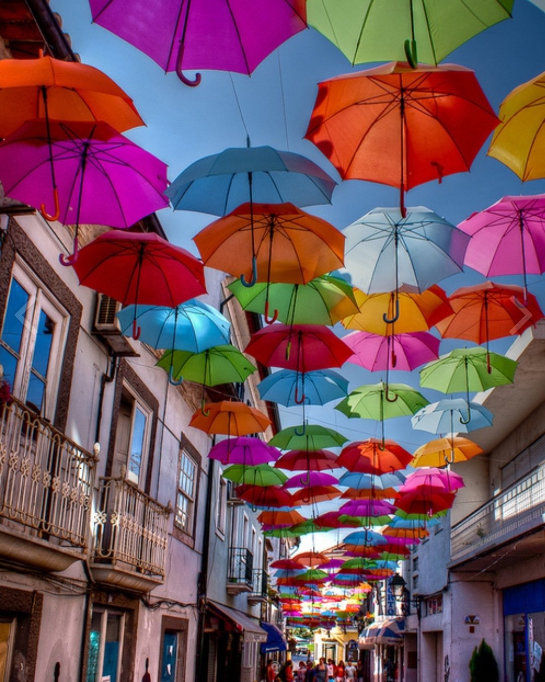 Зонтики яркие