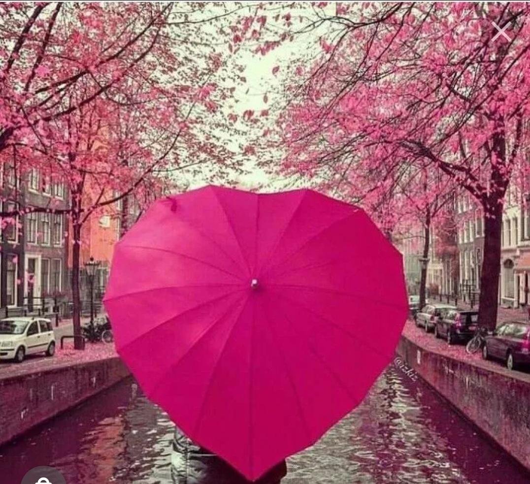 Розовый зонтик