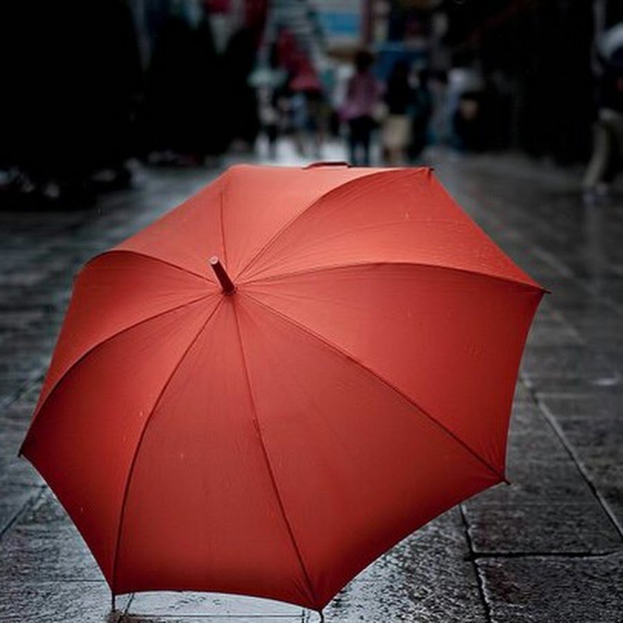 Ассоциация красных зонтиков. Красно белый зонтик. Чехол для зонта. МО.1.21.00 зонт. Зонтик надо
