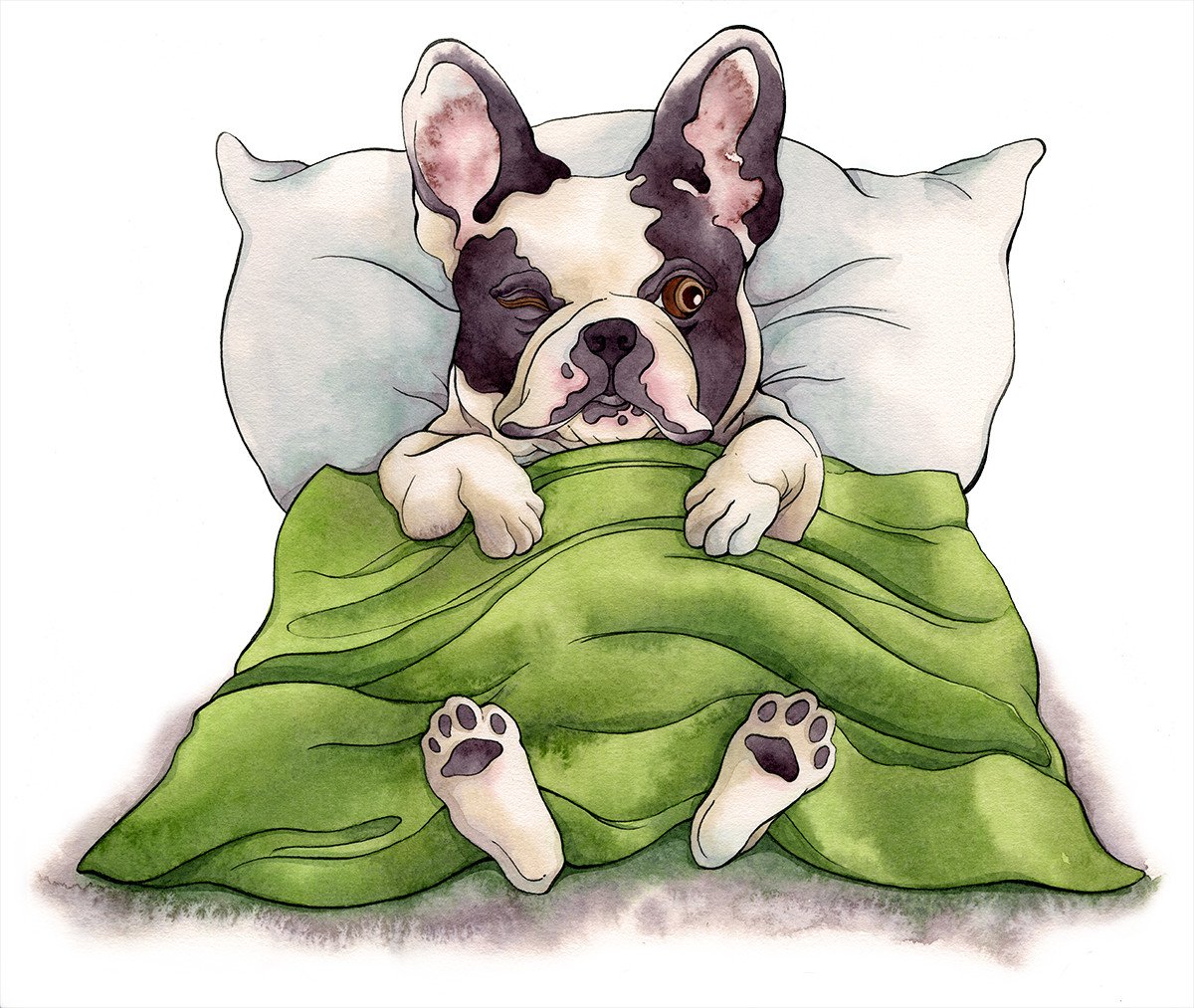 Доброе утро с французским бульдогом картинки