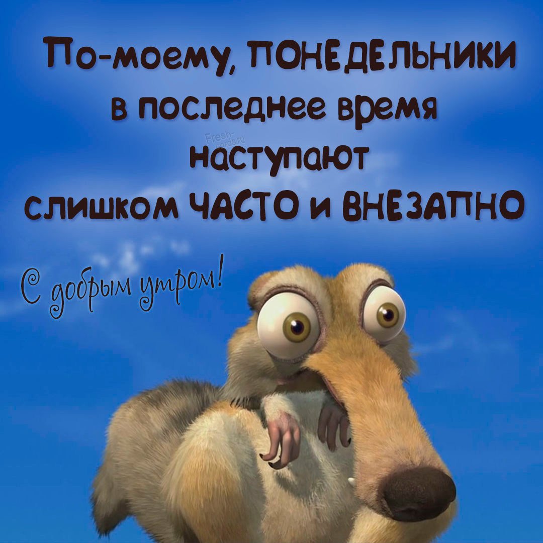 Доброе утро понедельника картинки позитивные необычные