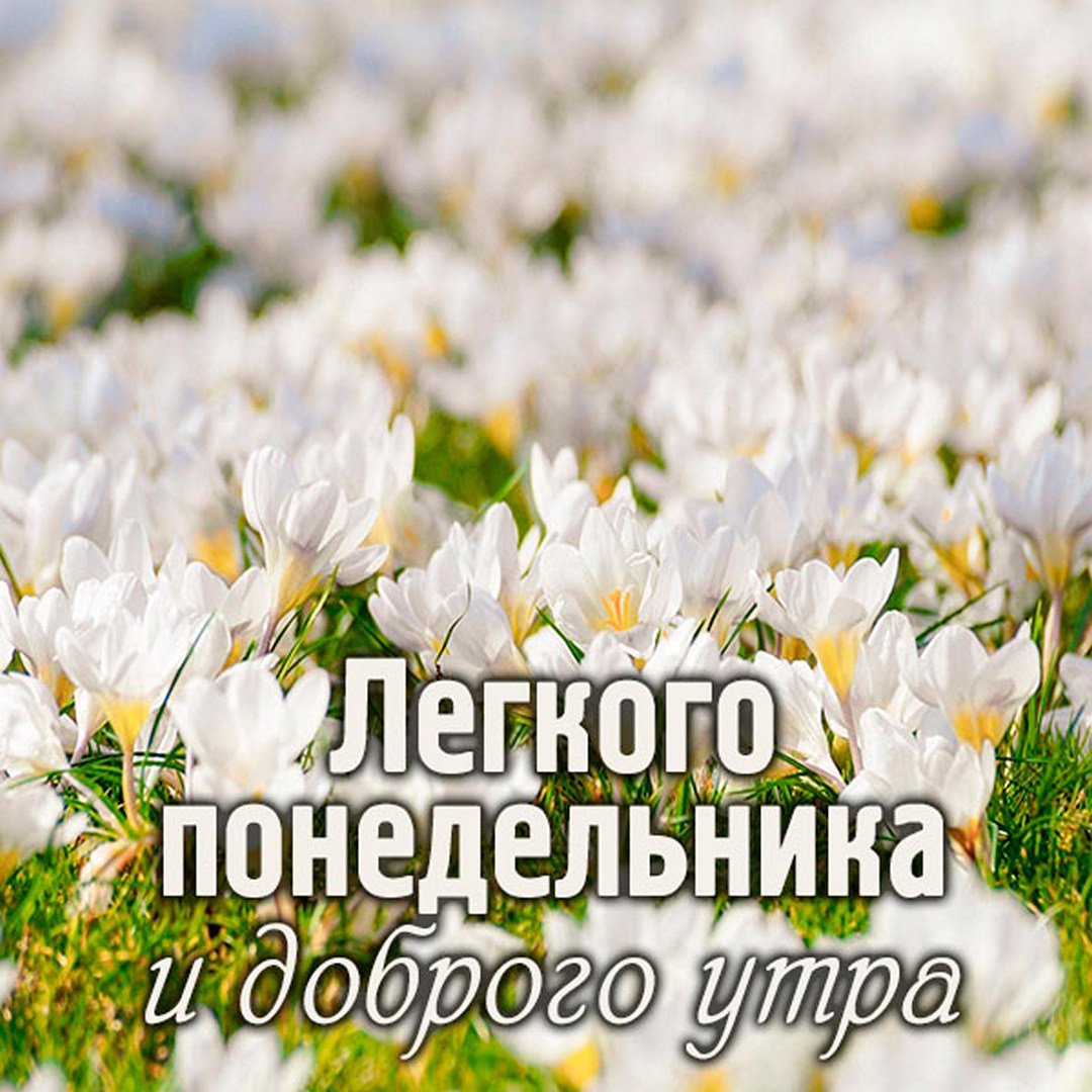 Утро кофе понедельник