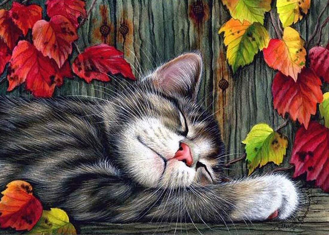 Кошки Ирины Гармашовой