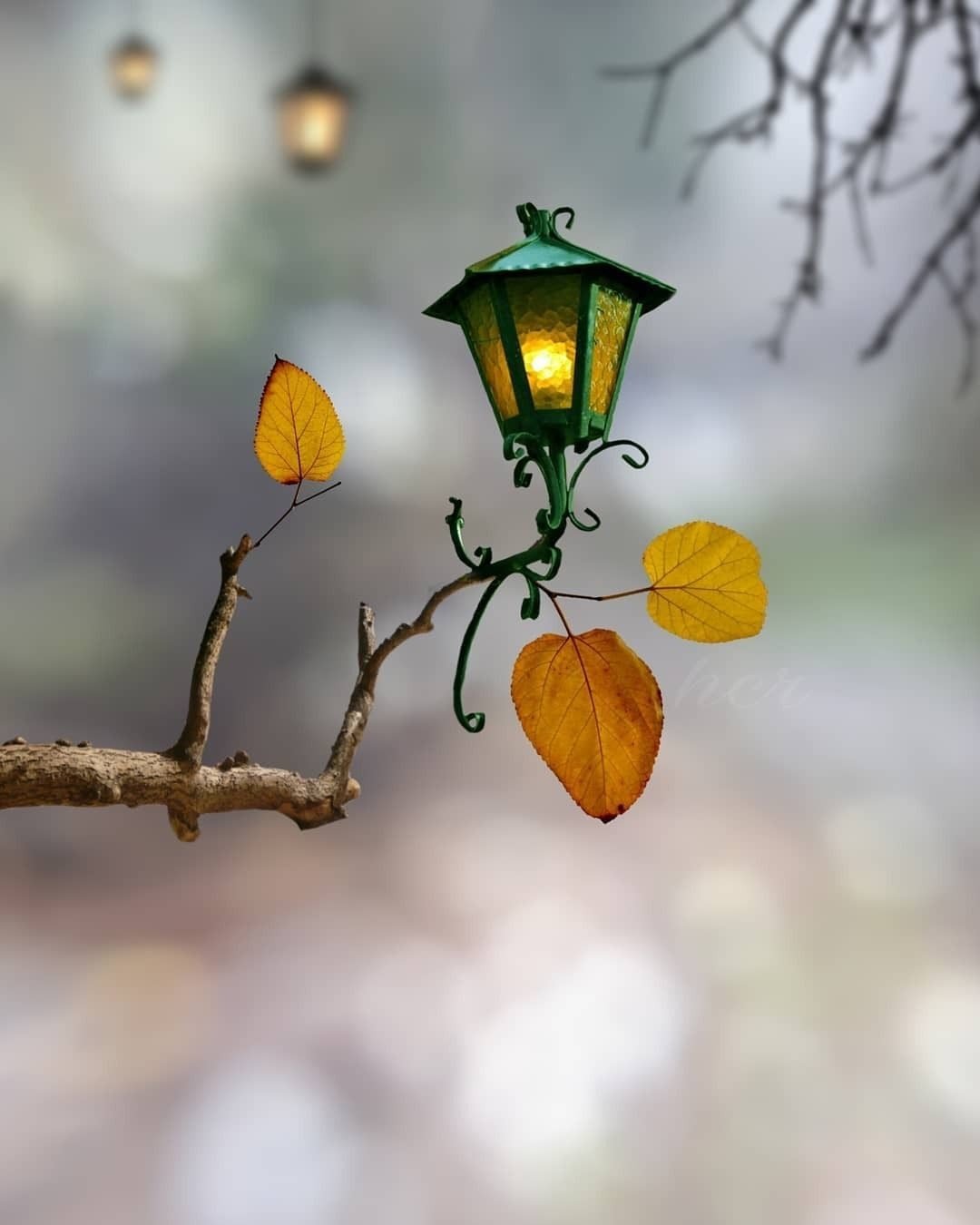 Осенний фонарь