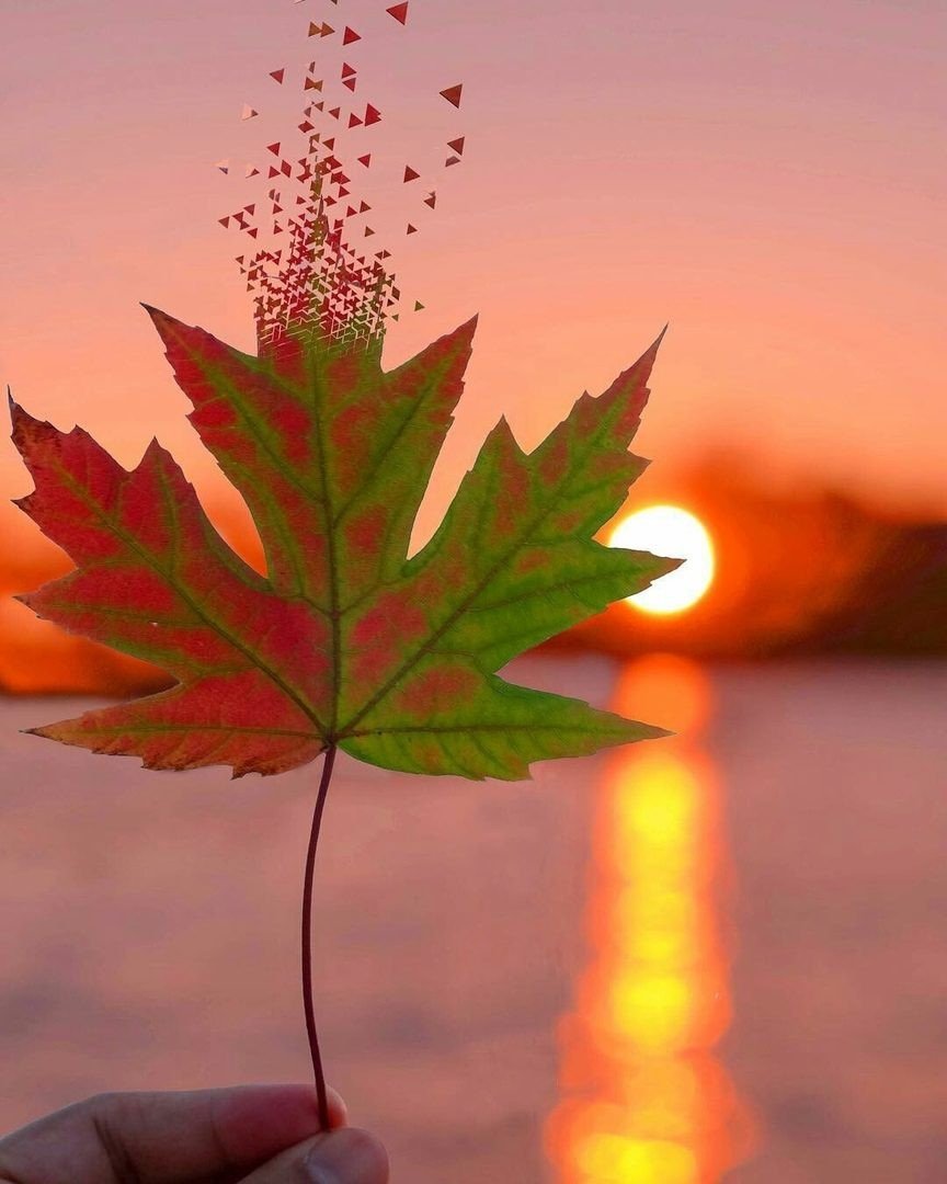 Доброй осенней ночи