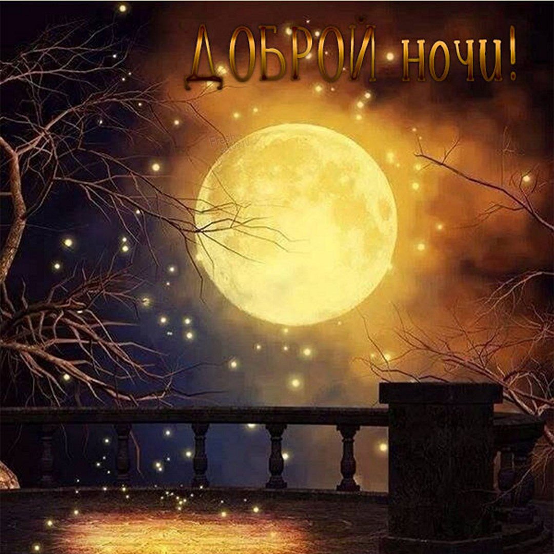 Сказочная ночь