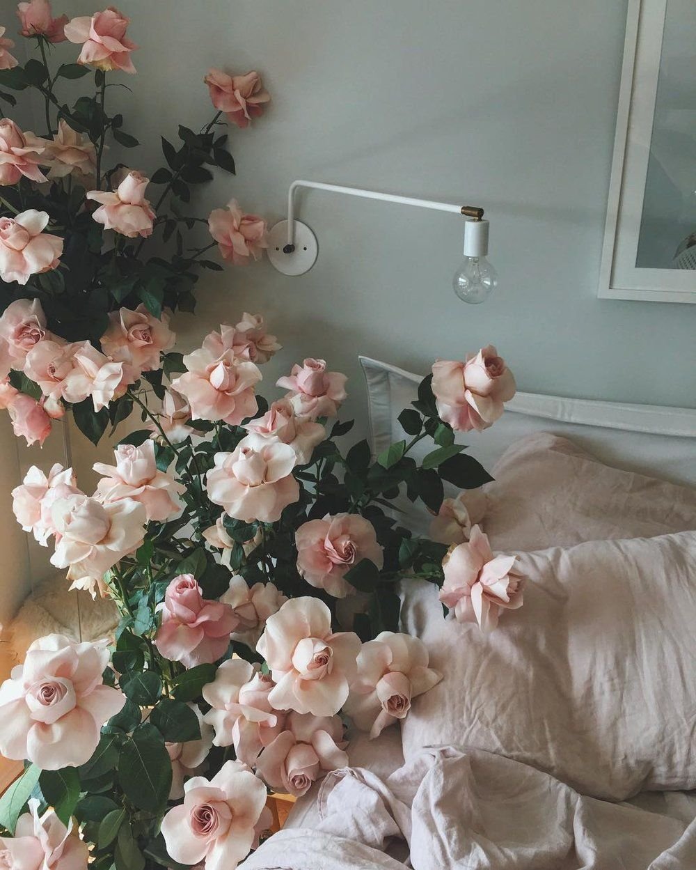 Цветы для эстетики