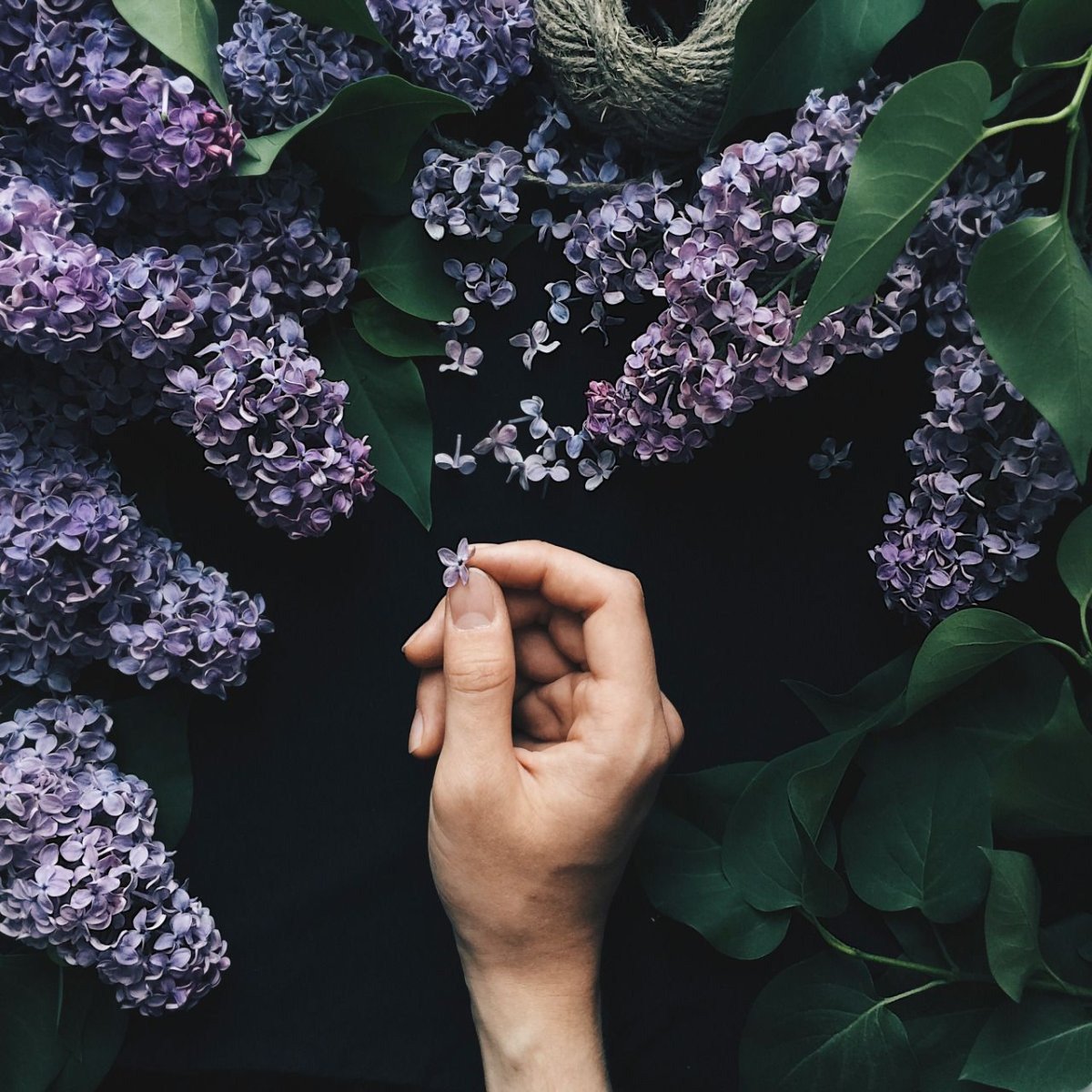 Цветочки Эстетика