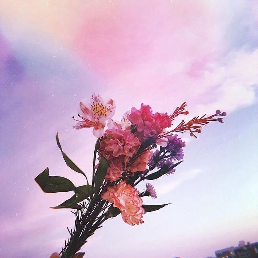 Цветочки Эстетика