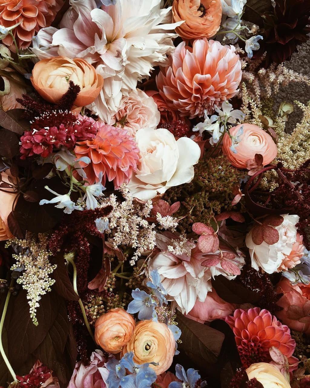 Цветы Эстетика