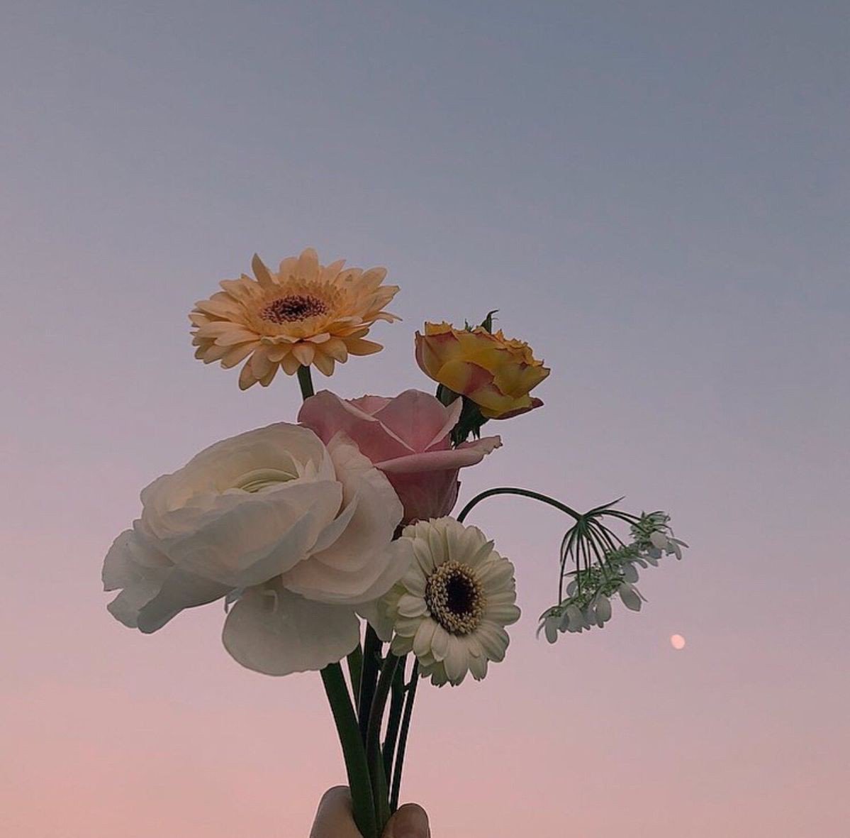 Цветы для эстетики