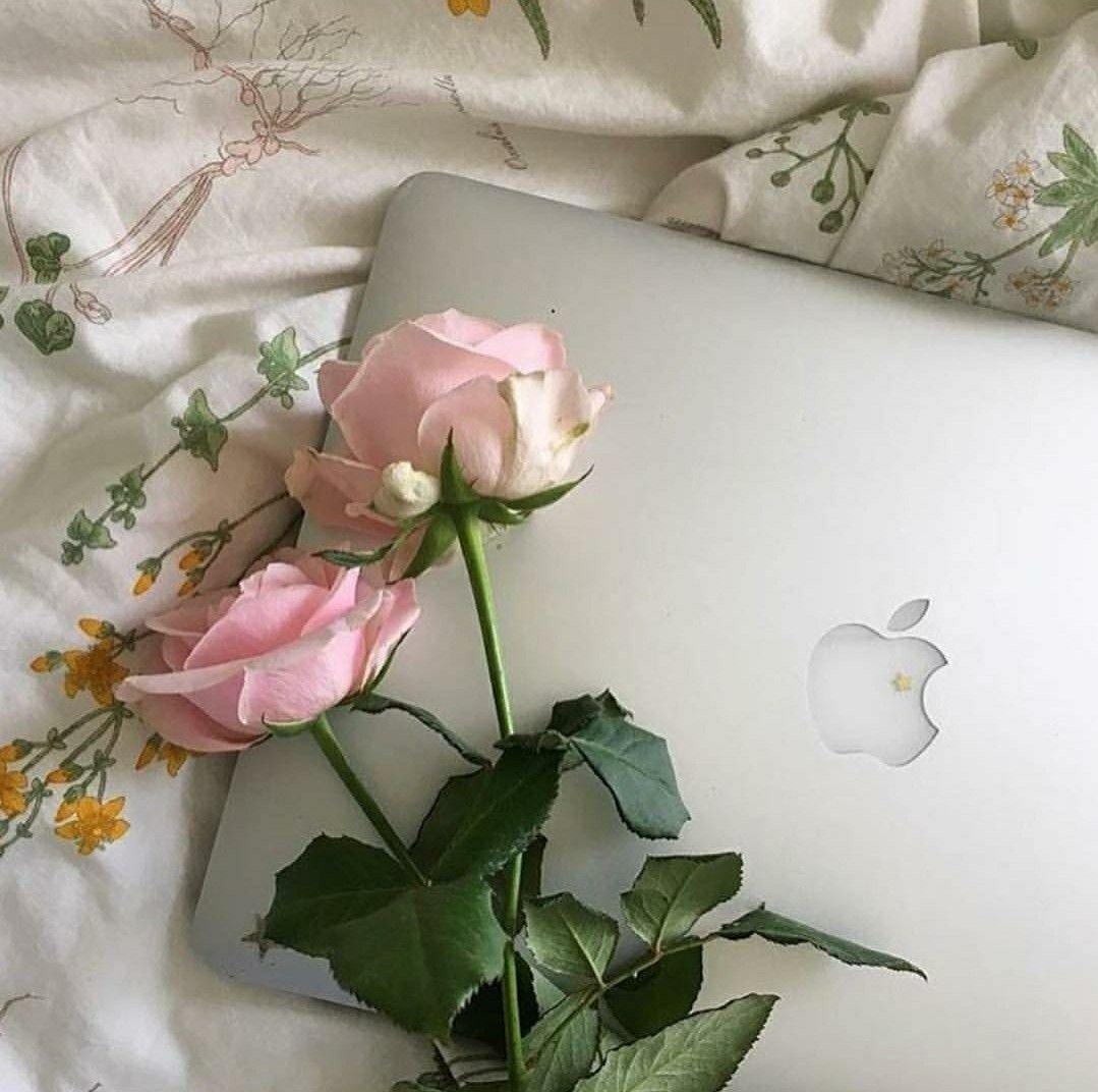 Эстетика с цветами