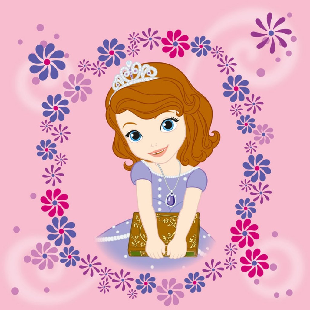 Kit Princesa Sofia Princesa