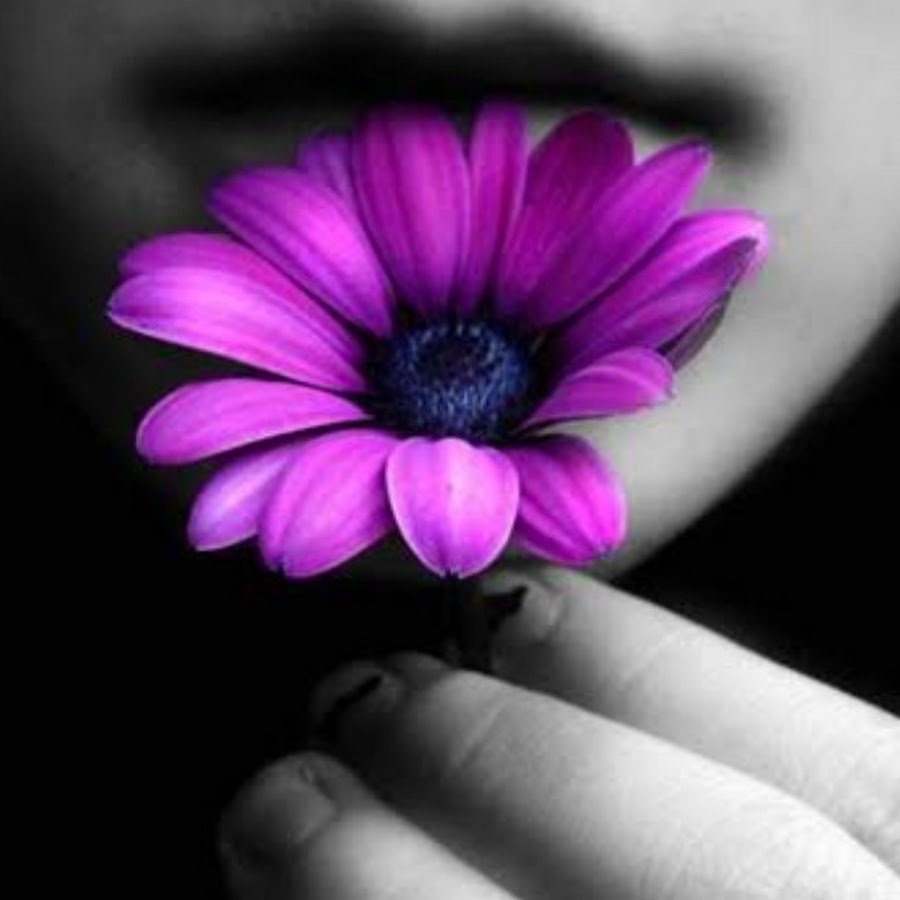 Цвета для аватарок