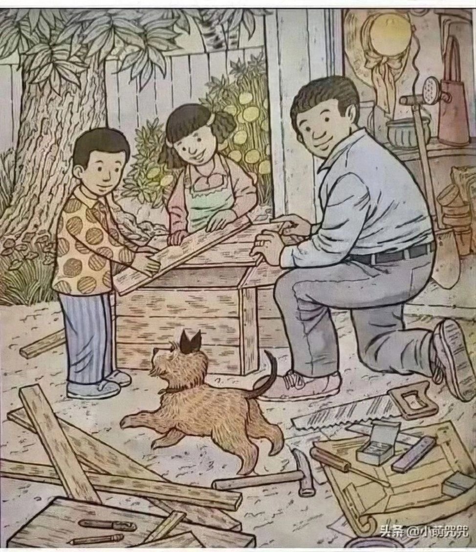 Найдите бабочку летучую мышь и утку