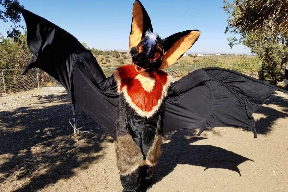 Фурсьют летучая мышь